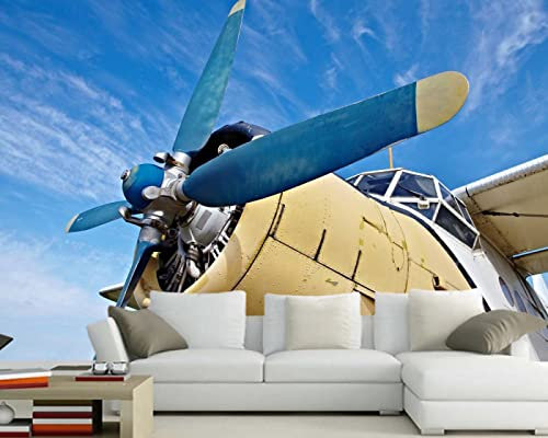 Blue Sky Old Plane 3D Carta da parati Papel de pared, Soggiorno TV Divano Parete Camera da Letto Carta da Parete Decorazione per la Casa Ristorante Bar Mural* 430 cm x 300 cm