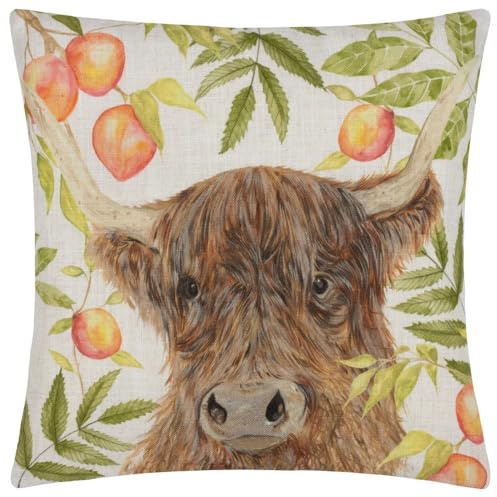 Evans Lichfield Grove Highland Cow Cushion Cover