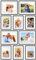 PHOTOLINI schwarze Bilderrahmen Set verschiedene Größen, 10 MDF Holz Bilderrahmen mit Passepartout, Bilder Rahmen mit Acrylglas, Bilderrahmenset zum Aufhängen, Fotowand Fotorahmen Set & Zubehör