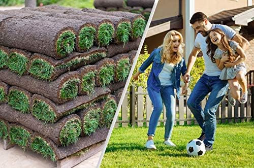 Rollrasen – 15m² echter Fertigrasen - Sorte: Premium Sport- und Spielrasen - Vorgedüngt - Frisch geschält - Gekühlt Geliefert (10 bis 500 qm verfügbar)
