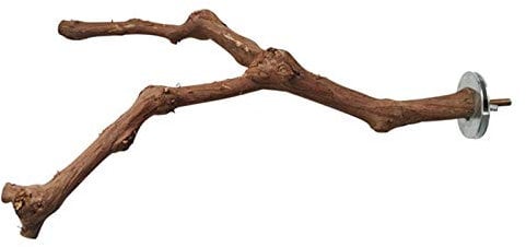 [Durable Material] The vine bird perch can provide shelter for parrots to stand and rest in the cage, very safe for all kinds of birds, made of real vines and its shape and thickness is A