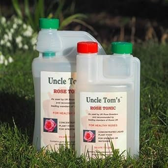 Peter Beales Uncle Tom's Rose Tonic 500ml | Concentrated Liquid Rose Fertiliser for Vibrant Blooms & Healthy Growth | Nutrient-Rich Plant Food | Gardening Essential (500ml)