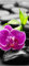 wandmotiv24 Türtapete Zen Basaltsteine und Orchidee 100 x 200cm (B x H) - Dekorfolie selbstklebend Sticker für Türen, Türfolie, Aufkleber, M0954