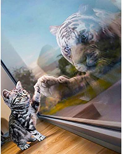 DCIDBEI Square Drill Diamond Painting Katze Tiger 40x50 cm Diamond Painting Quadratische Steine Katze Diamant Painting Bilder Erwachsene Tiere Diamond Painting katzen Spiegelbild Kristall Kreuzstich