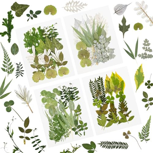 84 Stück getrocknete gepresste Blätter Pflanze Herbariumblätter Blütenblätter Gemischt Echte natürliche trockene Blätter für Harz Kunsthandwerk DIY Nagelaufkleber Verzierungen Dekorationen (D)