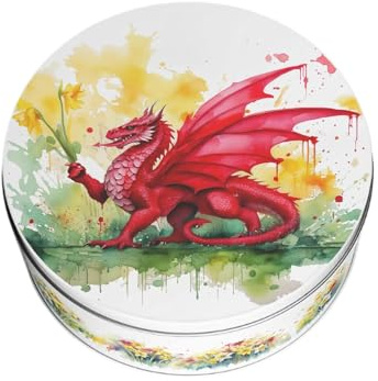 Purely Home Daffodils & Dragon Small Cake Tin - Patriotic Welsh Souvenir Kitchen Gifts - Round Metal Storage Container for Baking 18 x 7cm