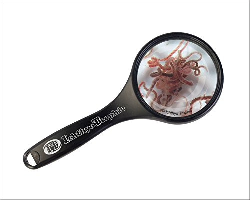 Tubifex/Schlammröhrenwürmer 90 ml Lebendfutter für Zierfische im Aquarium oder Gartenteich– gereinigt & gewässert – Futtermittel (10x90ml)