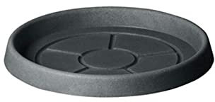Decorspace - Plato para maceta redondo de plástico para macetas de interior y exterior (60 cm), color gris