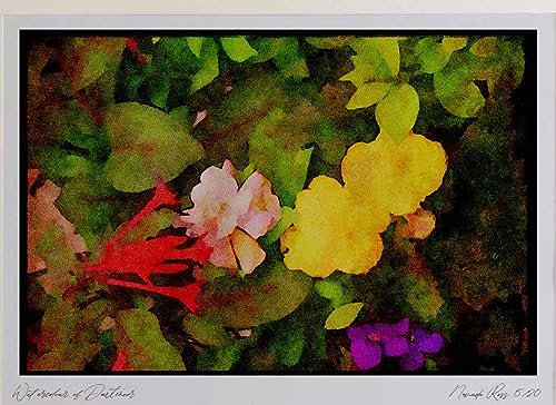 Wild Flowers Plants 013098 Yellow Begonias And Red, White Flowers Watercolour Picture Limited Edition A4