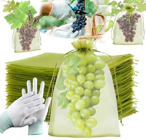 100 Stück Trauben Schutzbeutel 20x30cm, SzonMcnl Obstschutzbeutel mit Zugband, Weintrauben Schutzbeutel Organzasäckchen, Garten Netzbeutel zum Schutz vor Wespenfrass Vögel Kirschessigfliege