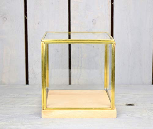 EMH Vitrine dôme en verre et laiton avec base en bois 15,5 cm