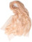 Prettystern Frau 100% Kaschmir-Stola leicht Ring Pashmina-Schal Abendkleid Schulter-Tuch XL hauchdünne Cashmere 25. beige