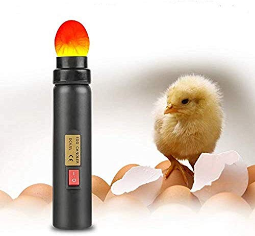 LED Eiertester f r Inkubator Fruchtbarkeitstest zur Eierpr fung Wiederaufladbar mit USB Kabel Helles Licht zur Bestimmung der Befruchtung