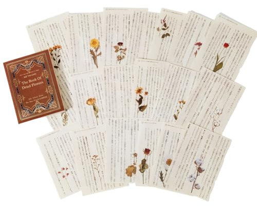 Osmond Retro Lesebuch-Seite, Papier, Altes Buch, Text, Altes Tagebuch, dekoratives Material, Papier, getrocknete