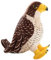 KUKUShining Adler Plüschtier, Weiche Kuschelige Stofftier Puppe Realistisches Plüsch Spielzeug Vogelpuppe Geschenke Für Kinder Vogelbeobachter Jungen(30cm/11.8in)