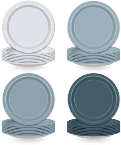 Tewess 48 PCS Dusty Blue Party Plates 9 Inches Dusty Baby Blue Disposable Dessert Plates for Boy Baby Shower Boho Wedding Birthday Party Decoration 4 Colors