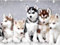 1000 Stück Husky-Puzzles - Anspruchsvolles Puzzle Für Erwachsene - Geeignet Als Heimdekoration Familien-Entpackspiel Oder Spielzeug Zur Entwicklung Der Intelligenz
