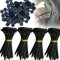 100 hebillas universales de nailon para ataduras de cables, soporte de bridas de nailon autoblocante resistente, correas de cincha pequeñas, herramienta de bridas de plástico multiusos para reparación