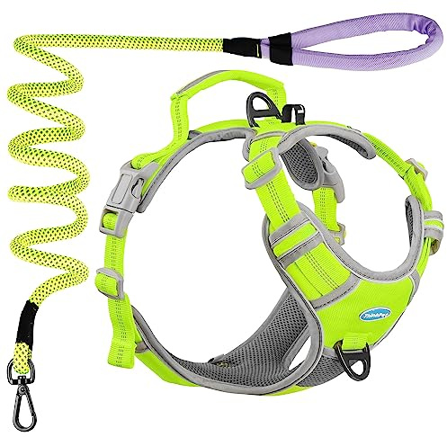 ThinkPet Harnais de Sport Respirant avec poignée pour Chiens de Moyenne et Grande Taille, réfléchissant, réglable, Clip arrière/Avant pour Un contrôle Facile, Vert, Taille S