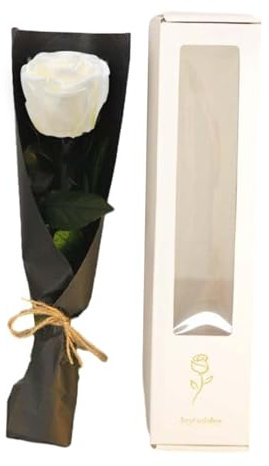 Gralara Regali di Rose con Fiori stabilizzati per Donne, Decorazioni per San, eterni per Compleanno, San, Bianco