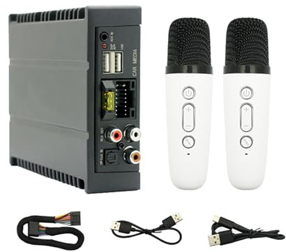 lerwliop Processore audio digitale per auto con 2 microfoni Amplificatore DSP per auto Amplificatore DSP Amplificatore DSP con cablaggio 4x80W