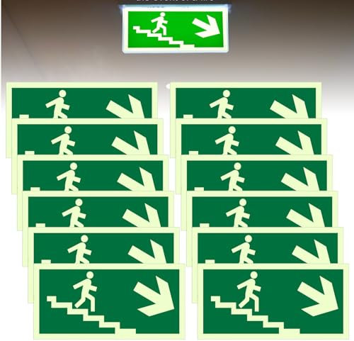 Cartello di uscita di emergenza: 300 x 150 mm, segnale di uscita di emergenza, segnale di emergenza, freccia verso il basso, riflettente, segnale di fuga (verso il basso) (scale a destra)