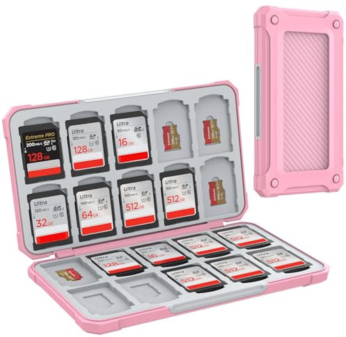 HEIYING Custodia per Schede di Memoria SD/TF, Custodia Portatile per Schede SD Compatibile con 20 SDXC SDHC e 20 TF Slots per Scheda