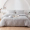 AShanlan Boho Bettwäsche 200x200 Grau Getuftet Stickerei Gestreift Bohemian Style Bettbezug Super Weich Gewaschene Microfaser Wendebettwäsche Set Reißverschluss und 2 Kissenbezug 80x80 cm