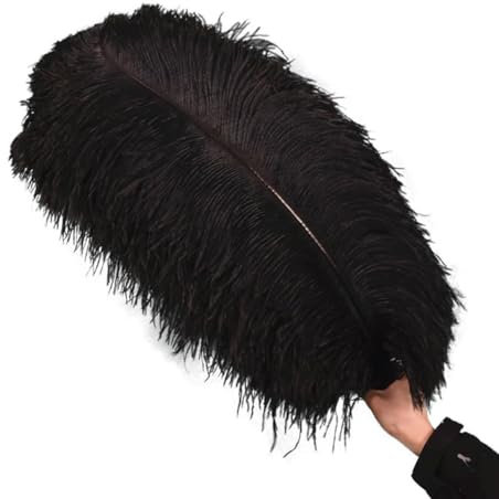 Schwarze Straußenfedern für Dekoration, Federn, Dekor, 15–70 cm, große Straußenfedern, Feiertagsvase, Party, Tischdekoration, Zubehör, 65–70 cm, große Stange, 10 Stück