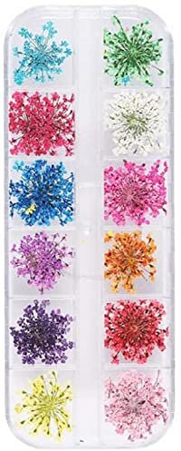 Dried Flower Nail Art Decoration Set 24pcs Real Gypsophila Dried for Art Preserved Flower Manicure Nail Ornament for Women Style 02