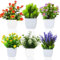 LuckyCao 6 Pack Small Artificial Flowers in Pots, Mini Fake Plants Potted Indoor/Outdoor Artificial Plants Plastic Faux Plants Pot for Home, Office, shelf,Table,Garden Decor