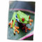 Costa Rica Handtuch, 3D-Rosen mit roten Augen, Baumfrosch auf Blatt, 38,1 x 55,9 cm, mehrfarbig