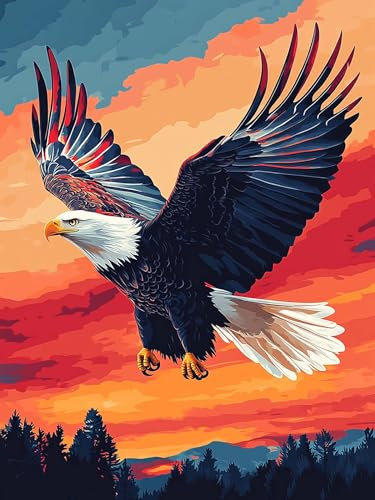 VAIIEYO 5D DIY 5D Diamond Painting Adler, Diamant Painting Bilder Malerei Kits Tier, Malen Nach Zahlen Diamant Home Wand Decor Gemälde Kreuzstich Diamond Dekoration 30x40 cm-24