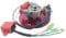 GOOFIT Motorrad-Magnetspulen interner Rotor Stator Kit Teil-Zubehör Ersatz für 50-150 cc Motor CDI Chinesische Pit Dirtbike