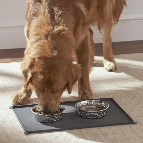 Penguin Home Stainless Steel Pack of 4 Pet Bowl with Non-Slip Silicone Mat Cat Feeder, Easy to Clean, Cats and Puppies Food and Water Feeding / 700 ml Bowls/Grey