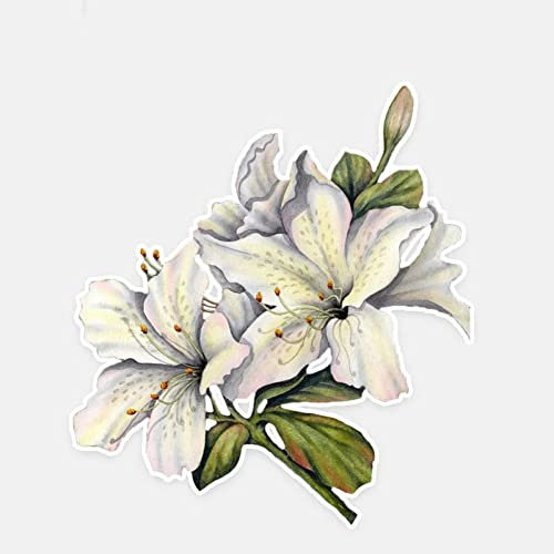 PBHYDK 2 Stücke Auto Aufkleber Lilie Blume Zubehör Dekor Vinyl Aufkleber 12 cm * 11 cm Laptop Koffer LKW Zubehör Auto Aufkleber Dekoration Aufkleber Lustiger Autoaufkleber