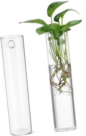 TOYANDONA 2 Pièces Vase hydroponique Suspendu vases à bourgeons Vases muraux Vases cylindriques Suspendus décoration Murale Jardin Vertical Pot de Fleur Pot pourri Vase de Plantes propagées
