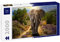 Lais Puzzle Elefant 2000 Teile