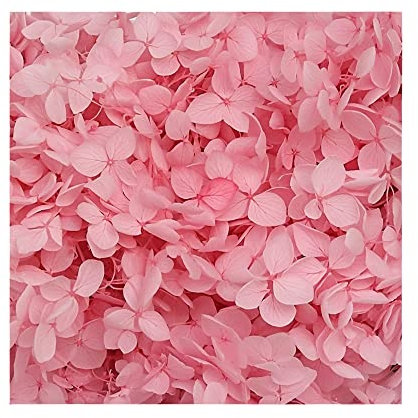 Fleurs de cerisier séchées roses - Petites feuilles - Décoration préservée pour loisirs créatifs - Fleurs pressées pour bougies, travaux manuels, mariage, loisirs créatifs, carte