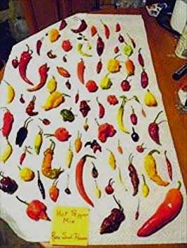 Pacchetto semi: Massive Mix di Semi di Peperoncino - Mélange personnalisé ! 50 demi! è raro! Pettine. SH !