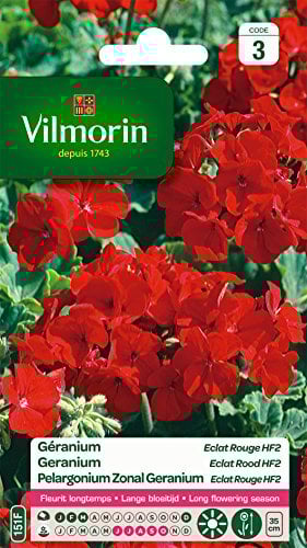 Vilmorin 5464043 Géranium, Rouge