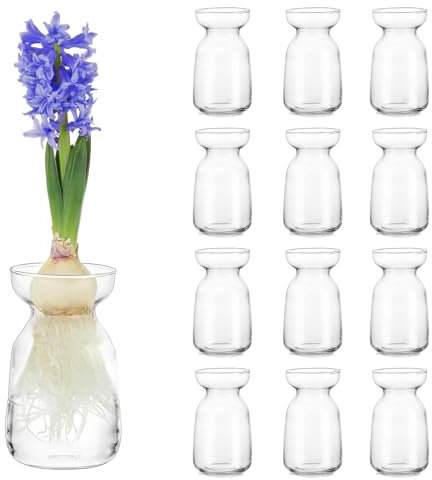 Hewory Hyacinth Avocado Growing Bud Vase Bulk, Flower Bulb Forcing Plant Containers Pots Propagation Jars, Clear Glass Vases Centerpieces for Wedding Reception Home Living Room Table Decor, 12pcs