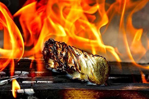 TR-FLAMES 5kg Bio Anzündwolle Kaminanzünder Grill Holz Anzünder Holzwolle Feueranzünder Feuer Anzündwürfel