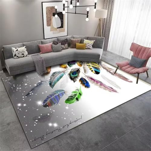 DJHWWD Tapis Chambre Ado Garcon d Exterieur 180x230CM de Porte Gris Design Plume Rose Eau Bebe eveil Jeux