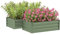 Outsunny Set of 2 Raised Garden Bed, Outdoor Planter Box with Galvanised Steel Frame for Growing Vegetables, Flowers and Herbs, 100 x 60 x 30cm, Green
