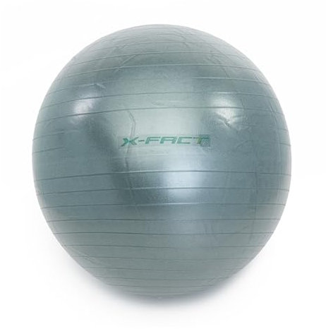 WORQOUT Gymnastikball 65 cm – Fitnessball, Sitzball, Peziball für Yoga, Schwangerschaft, Stabilität und Physiotherapie, mit Pumpe, Fitnessball