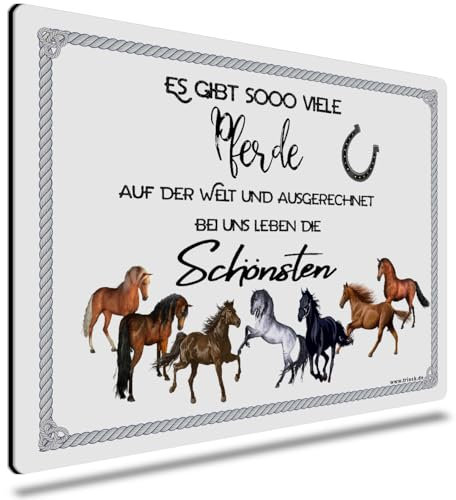 TRIOSK Dekoschild Pferd Schild lustig mit Spruch Es gibt so viele Pferde Metallschild Pferdeschild Sprüche Geschenk für Pferdeliebhaber Mädchen Frauen Blechschild 30x20 cm groß