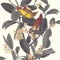 LUTECE Papier Peint Branche à Oiseaux | Gris Fonce | Vinyle sur Intissé | 51175509 | Chambre, Salon, Couloir, Séjour