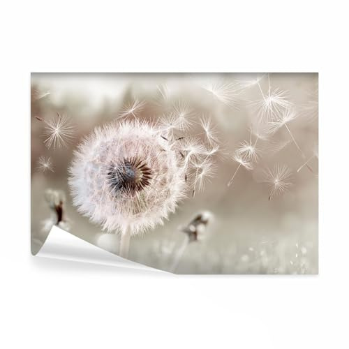 decomonkey Fototapete selbstklebend Pusteblume Natur, 294x210 cm, Blumen | Löwenzahn, Beige, Pflanzen, Pflanzenmotiv, Abstrakt, Selbstklebende, Tapeten, Wand, Fototapeten, Tapete, Wandtapete, klebend