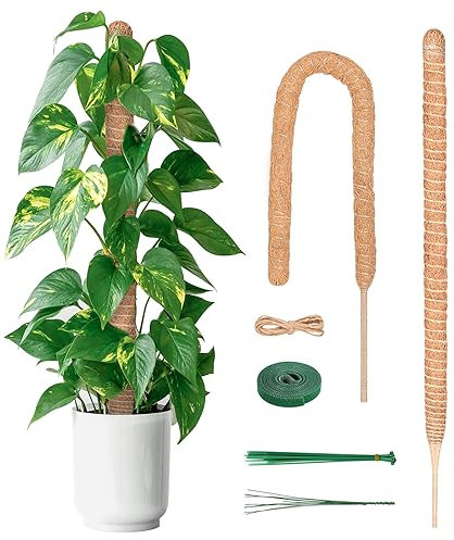 YAUNGEL Tuteur Plante, 2 Pièces 120CM Support Plante Grimpante Tuteur Coco pour Plante Monstera Maison Jardin avec Twist 20 Meter pour Soutenir Les Plantes